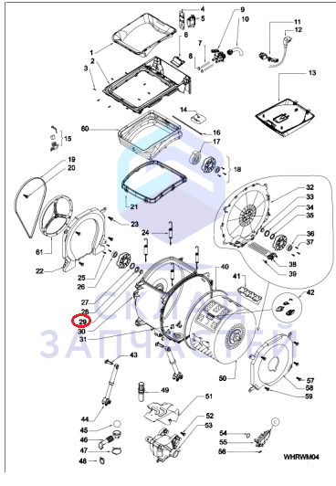 Ремень приводной, оригинал Indesit C00309363